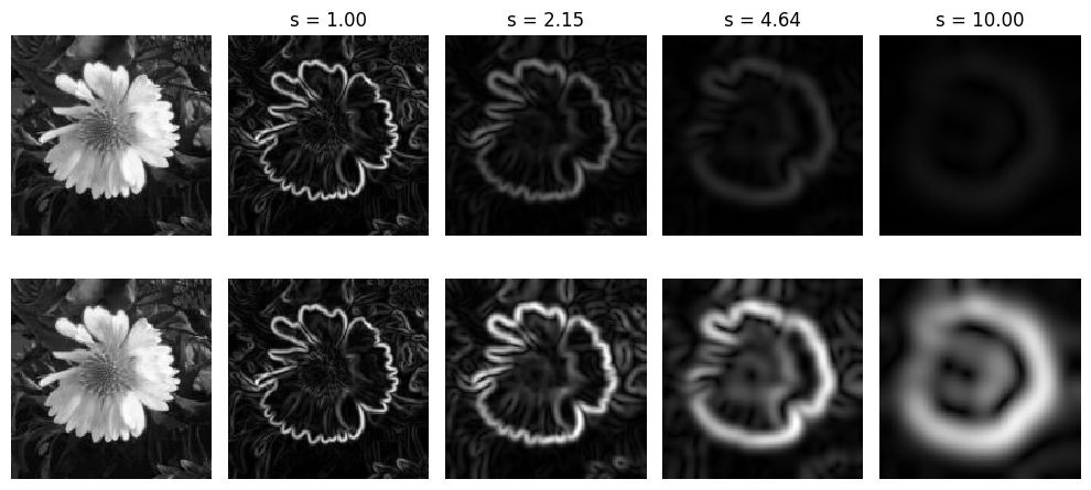 ../../../_images/flower_gradient.png