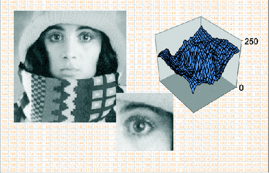 ../../../_images/justnumbers.png