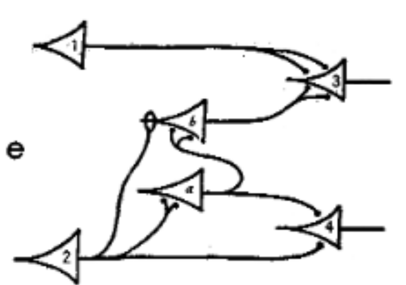 ../../../_images/mccullochpitts.png